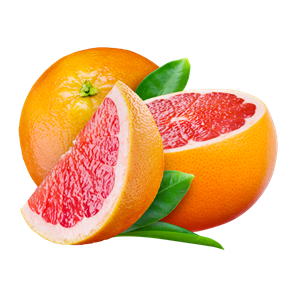 Grapefruit PNG-15239